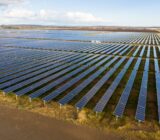 Solar farm: the future of business with photovoltaic panels