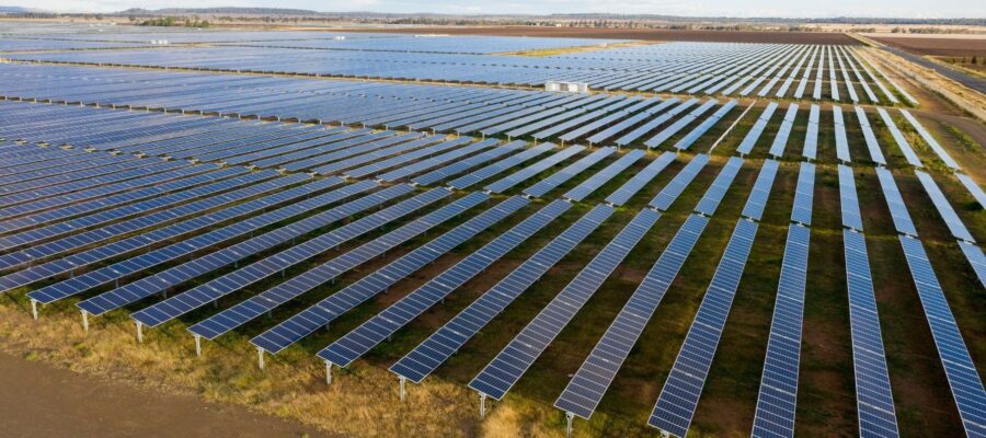 Solar farm: the future of business with photovoltaic panels