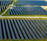 The solar panel market, between flexibility and technology