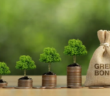 The offer of green bonds to finance investments