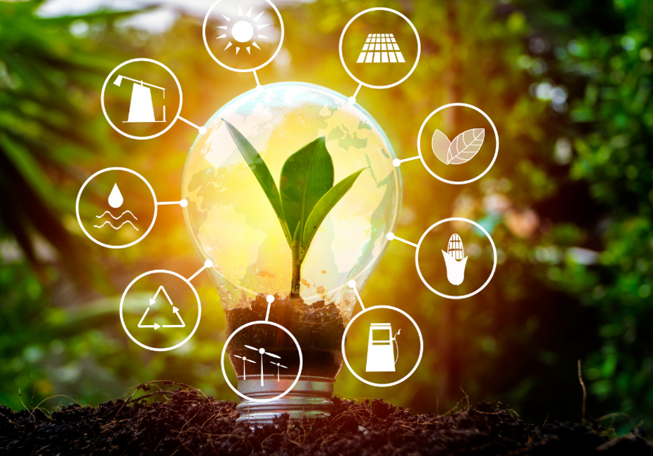 Because green energy gives you a competitive advantage