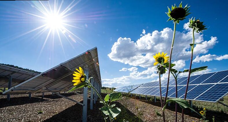 From solar energy to photovoltaic panels