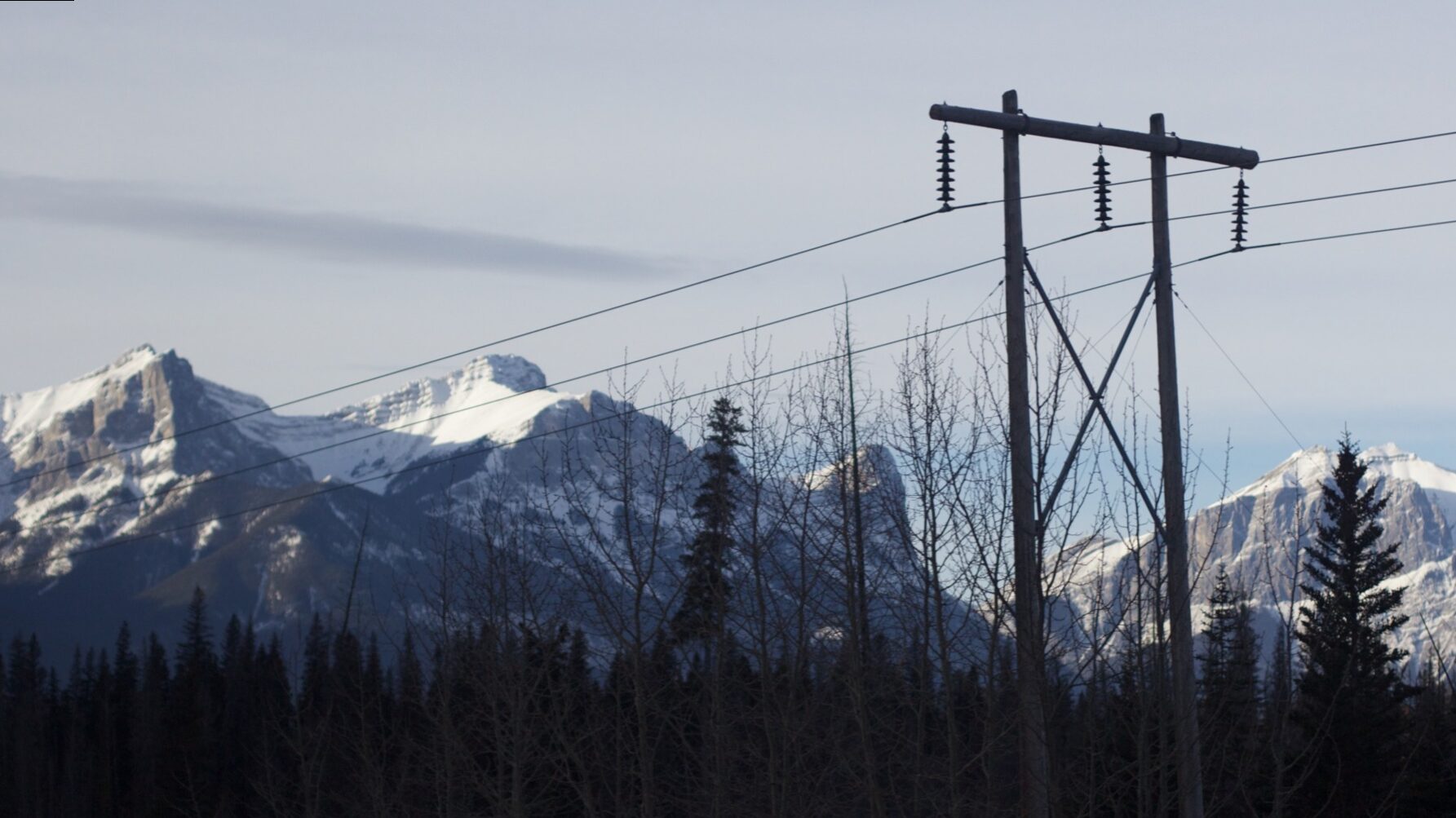 Suppliers of last resort in the electricity sector