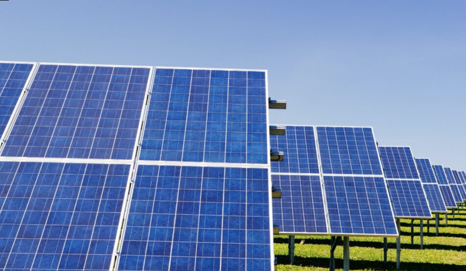 What sustainability means in the company: photovoltaic panels and their role